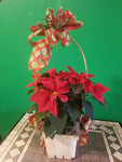 pointsettia hoop basket