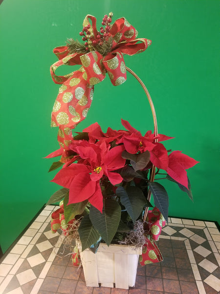 pointsettia hoop basket