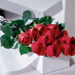 Valentines Day dozen boxed roses