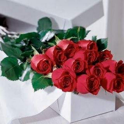 dozen boxed long stemmed roses