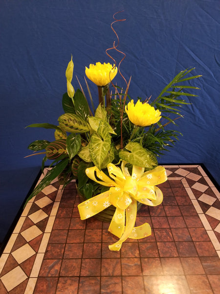 dish garden with flowers