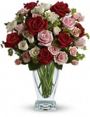 Valentine 3 dozen vased assorted colors