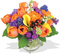 Vibrant Colors
