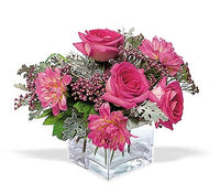 Perfect Pink Harmony