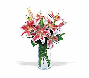 Lovely Lilies