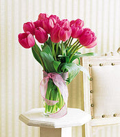 Pink Tulips