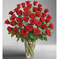 3 Dozen Red Roses